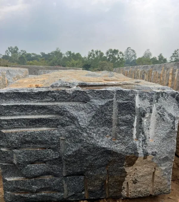Royal black Granite Blocks